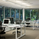 Professional Sydney Tinting for Homes & Offices: Enhance Comfort, Privacy, and Energy Efficiency